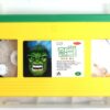 The Incredible Hulk Animation Series 2x Korean VHS [NTSC] Korea Dub Marvel