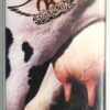 Aerosmith - Get A Grip Album Korean Cassette Tape Korea