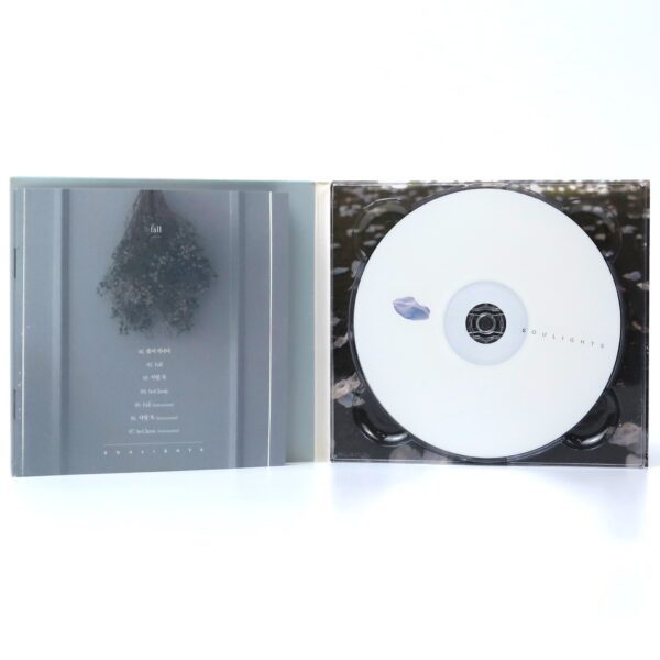 IMG_7410 Soulights - Fall Signed Autographed CD Album Promo K-Pop 2015