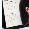 IU x Sony 2018 Calendar K-Pop Official Promo Goods