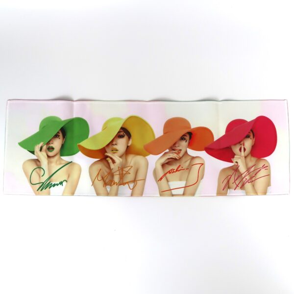 IMG_5598 Mamamoo Official Slogan 2016 Official Goods