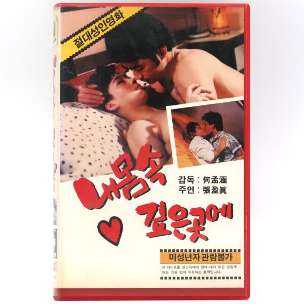 Love You To The Core (1988) Korean VHS Rental [NTSC] Korea Taiwan 我愛妳入骨