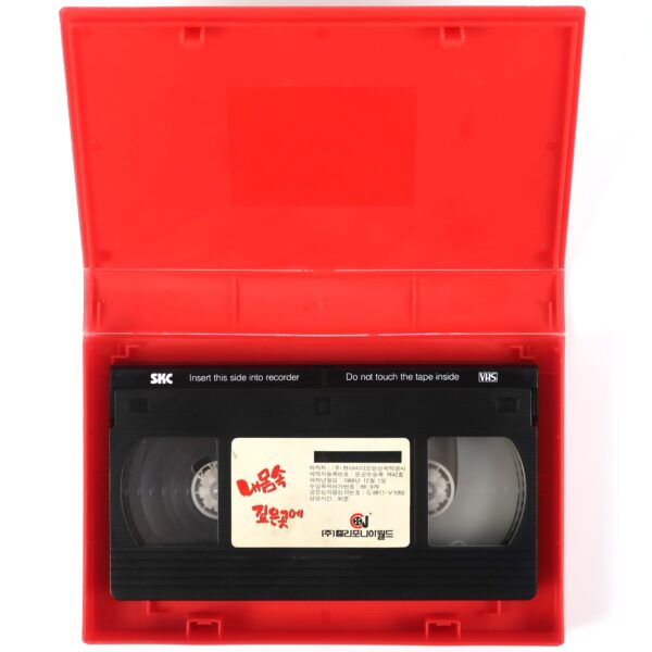 Love You To The Core (1988) Korean VHS Rental [NTSC] Korea Taiwan 我愛妳入骨