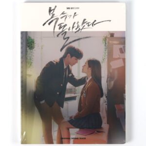 My Strange Hero Original Soundtrack CD Sealed K-Drama K-Pop 2019 OST Vixx Laboum