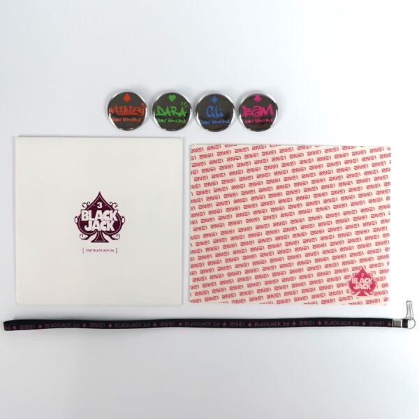 IMG_4552 2NE1 3rd Blackjack Fanclub Set Mousepad Button Pin