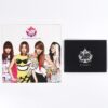 IMG_4555 2NE1 3rd Blackjack Fanclub Set Mousepad Button Pin