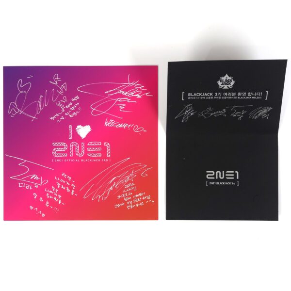 IMG_4556 2NE1 3rd Blackjack Fanclub Set Mousepad Button Pin