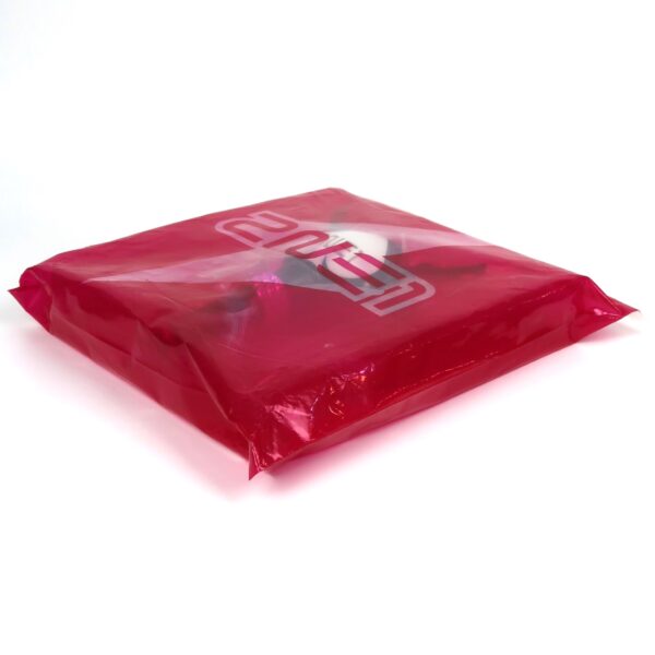 IMG_4674 2NE1 Spade Wing Lightstick Japan Light Stick