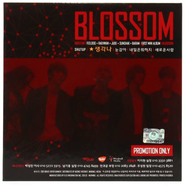 Bigstar - Blossom Signed Autographed CD Mini Album 2012 K-Pop