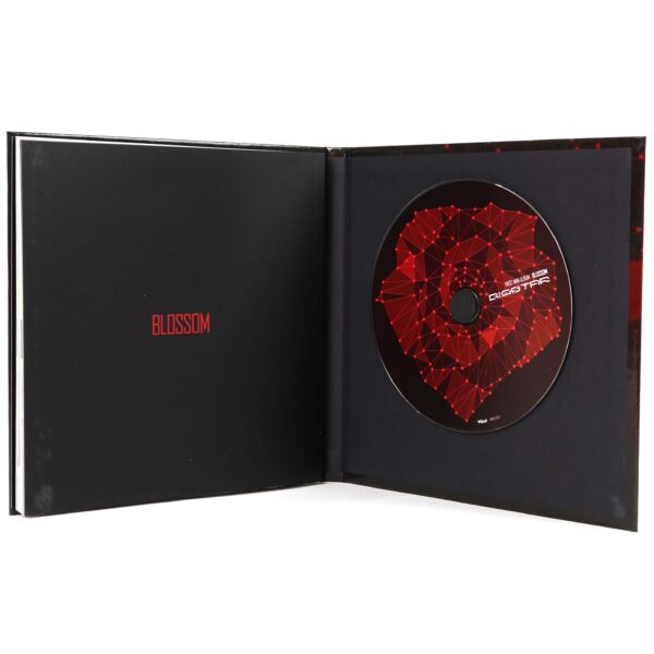 Bigstar - Blossom Signed Autographed CD Mini Album 2012 K-Pop