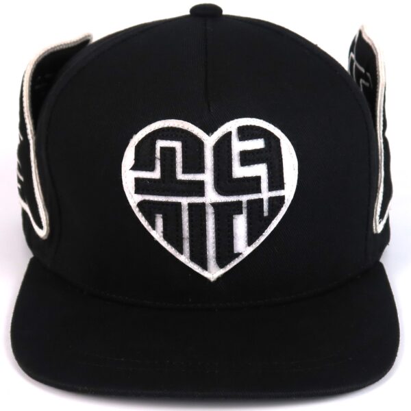IMG_3581 Girls' Generation Winged Logo Snapback Cap Baseball Hat Official SNSD