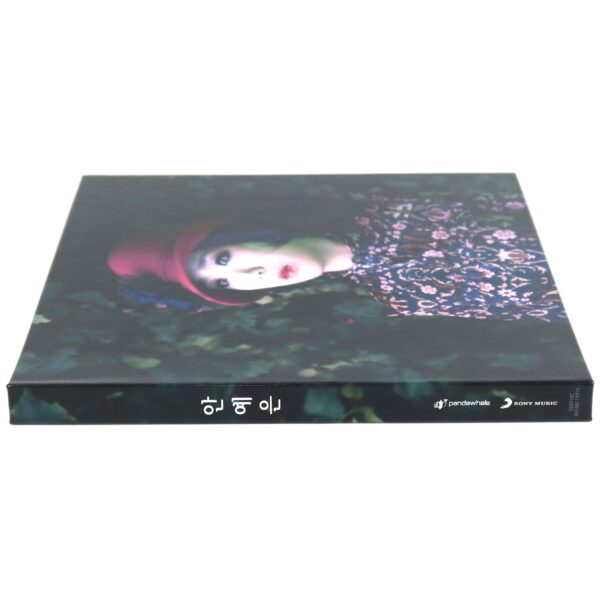 IMG_7299 Ahn Ye Eun - 1st Album CD K-Pop Indie Korea Rock Folk 2016