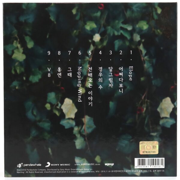 IMG_7300 Ahn Ye Eun - 1st Album CD K-Pop Indie Korea Rock Folk 2016