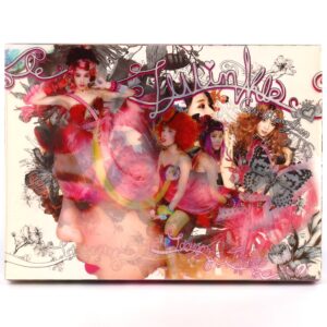 IMG_9073 Girls' Generation TTS - Twinkle Album CD K-Pop 2012 No Photocard