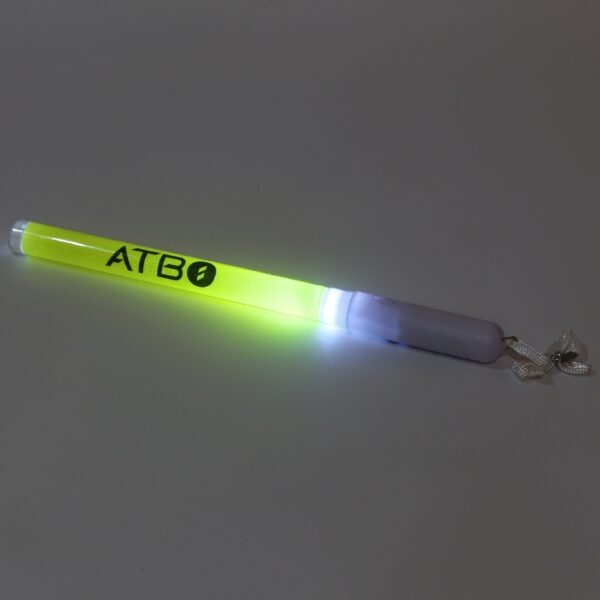 IMG_1982 ATBO Concert Light Glowstick Light Lightstick Set of 2