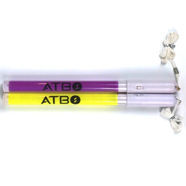 IMG_1984 ATBO Concert Light Glowstick Light Lightstick Set of 2