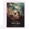 Descendants of the Sun Photo Essay K-Drama Korea Book 2016