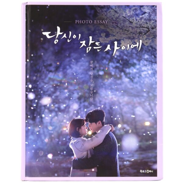 While You Were Sleeping Photo Essay K-Drama Korea Book 2017 [read]