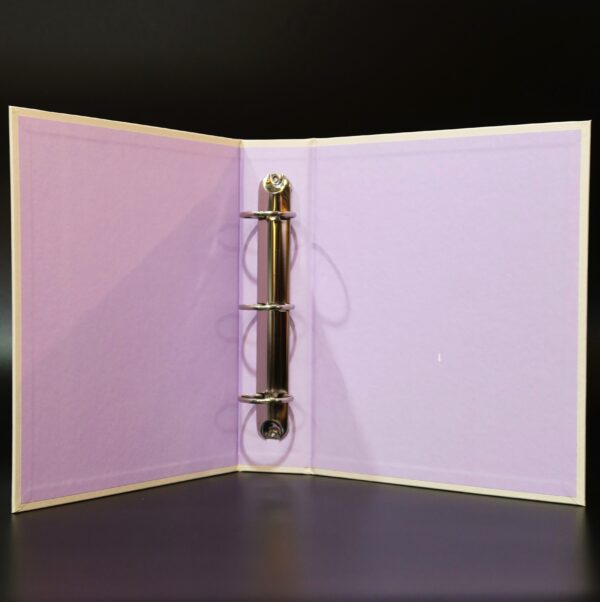 [Empty Binder Only] IU - Documentary Pieces: A Twenty-Nine Year Old’s Winter