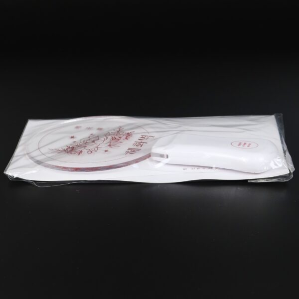 IMG_4821 Jeong Eun Ji 2nd Concert Acrylic Light Stick Hyehwa Lightstick Apink Eunji 2018