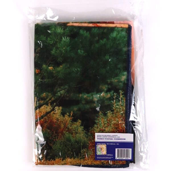 IMG_5357 The Boyz Younghoon Fabric Poster 5th Anniversary The Azit Official MD 2022