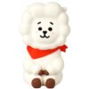 IMG_1862 BTS BT21 Line Friends RJ Money Box Coin Bank Piggy Bank