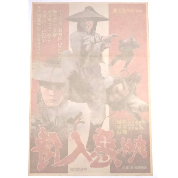 IMG_1510 The Story of Murim Wicked Man (1980) Vintage Korean Movie Poster Korea 무림악인전