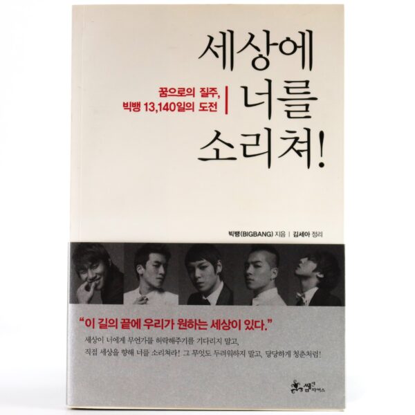 IMG_4175 Bigbang - Shouting out to the World! Book Big Bang 2009