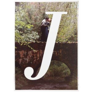 Miss Julie (2014) Korean Movie Poster [Propaganda Cinema Graphics]