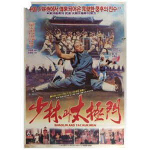 IMG_6192 Shaolin and the Tae-keuk Martial Arts (1983) Korean Movie Poster Korea 소림과 태극문