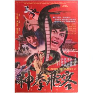 IMG_6236 Fighter With Miraculous Martial Arts (1978) Korean Movie Poster Korea 신권비객 1