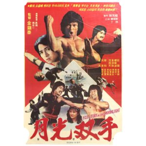 IMG_6255 Two Fighters in Moonlight (1981) Korean Movie Poster Korea Dragon Lee 월광쌍수