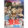 Fists of Bruce Lee (1977) Vintage Korean Movie Poster Korea Taiwan 쌍용비객 2 B