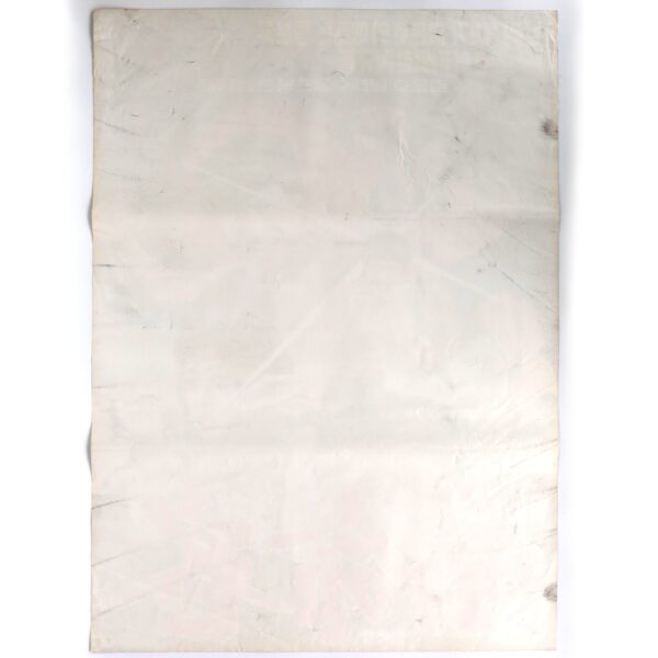 Secret Agent (1976) Vintage Korean Movie Poster Korea Casanova Wong 밀명객