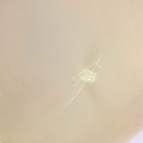 Plein Sud (1981) Korean VHS [NTSC] Korea France Heat Of Desire