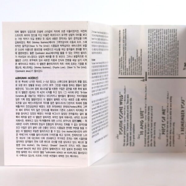 40 Seasons: The Best Of Skid Row Album Korean Cassette Tape Korea