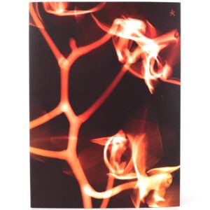 (G)I-DLE - I Burn [Fire Ver.] 4th Mini Album CD No Photocard Gidle 2021