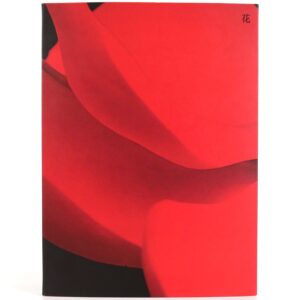 (G)I-DLE - I Burn [Flower Ver.] 4th Mini Album CD No Photocard Gidle 2021