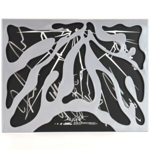 IMG_5531 Close Your Eyes - Blackout 3rd Mini Album Signed CD Promo K-Pop 2025